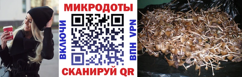 Псилоцибиновые грибы мухоморы  Чистополь 